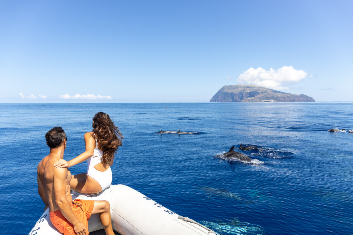 A couple watches a group of dolphins swimming beside their boat near Corvo Island in the Azores, Portugal. The volcanic profile of Corvo rises across the blue Atlantic water in the background.