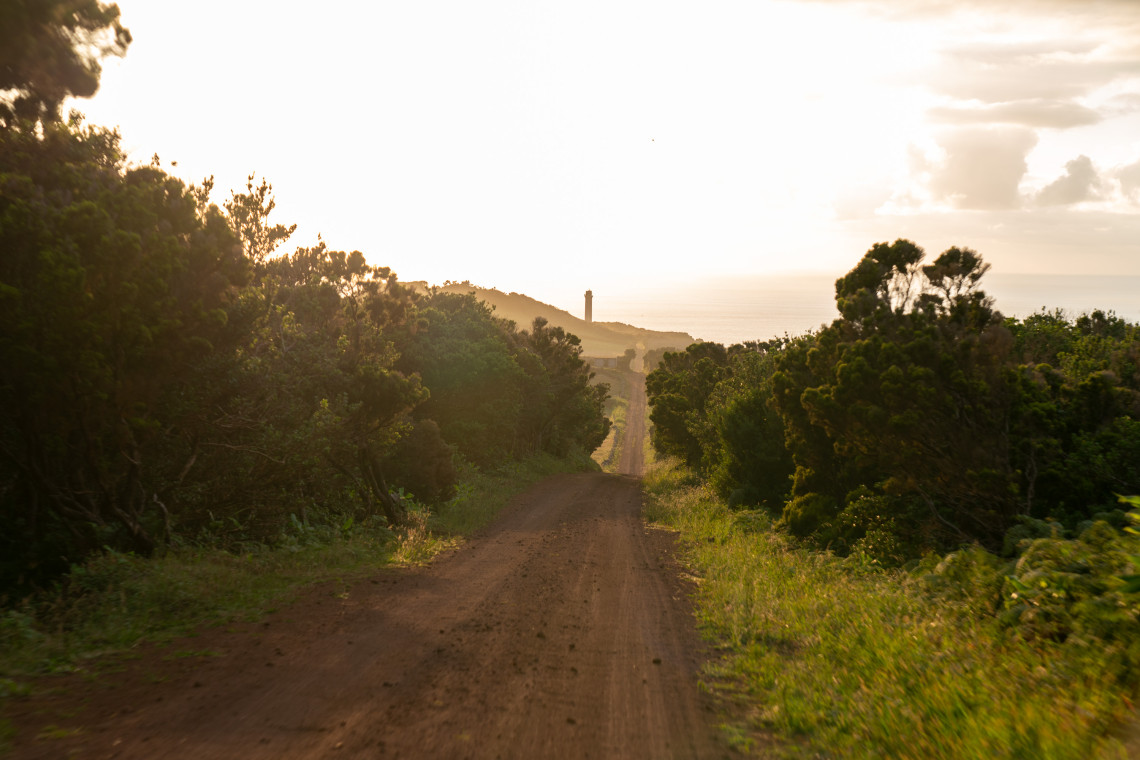 Unpaved road crossing the green landscape of Ponta dos Rosais on S&atilde;o Jorge Island, with Rosais Lighthouse visible in the distance near the Atlantic coast.