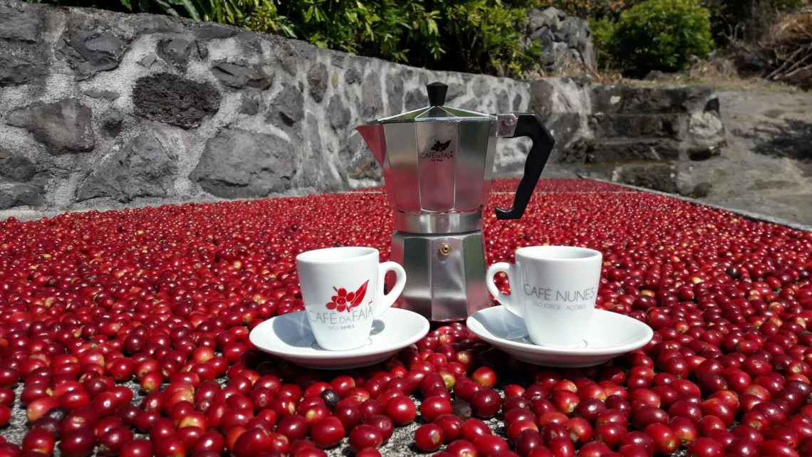 Fresh coffee cherries drying beside a moka pot and espresso cups at Caf&eacute; Nunes in Faj&atilde; dos Vimes, where coffee is traditionally grown and produced on S&atilde;o Jorge Island.