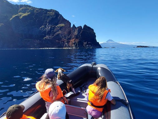 Passengers exploring the coast of S&atilde;o Jorge by boat, passing steep volcanic cliffs with Mount Pico visible across the Atlantic channel. Boat tours operate from the port of Velas.