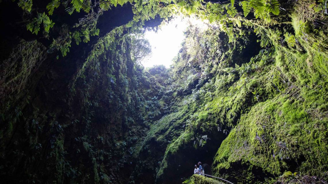 View inside Algar do Carv&atilde;o on Terceira Island, where steep volcanic walls covered in moss and ferns rise toward the natural opening above.