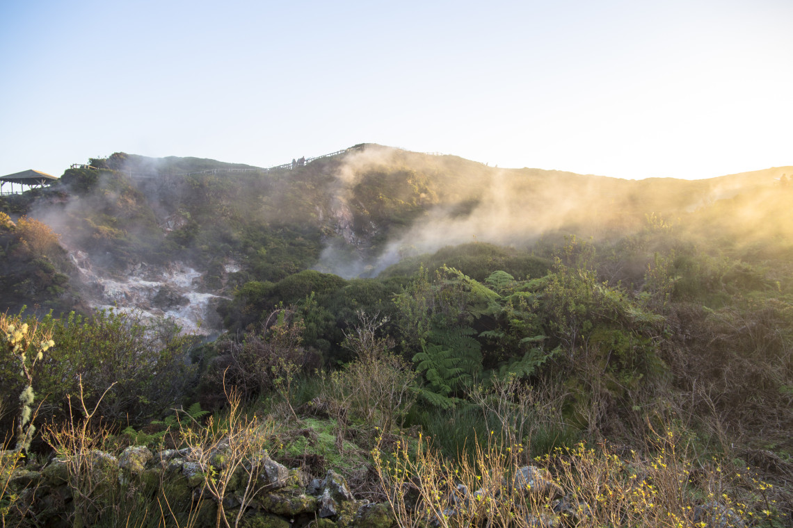 Steam rising from Furnas do Enxofre on Terceira Island, where geothermal vents emerge among dense vegetation and volcanic terrain.