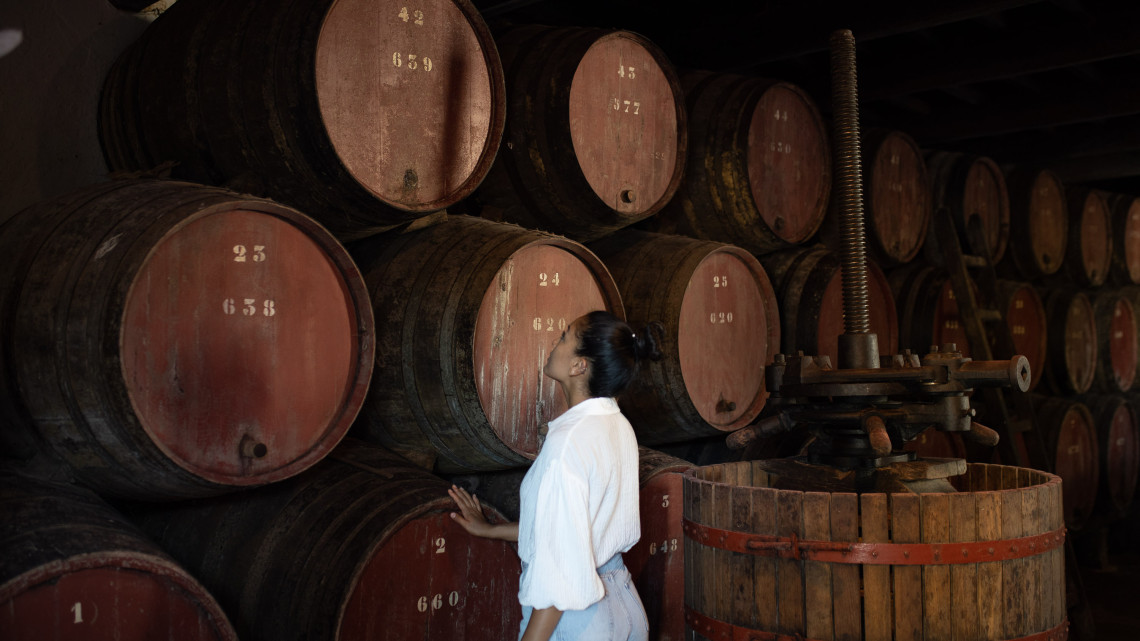 Visitor exploring the Biscoitos Wine Museum on Terceira Island, with rows of traditional wooden wine barrels and historic wine-making equipment inside the cellar.