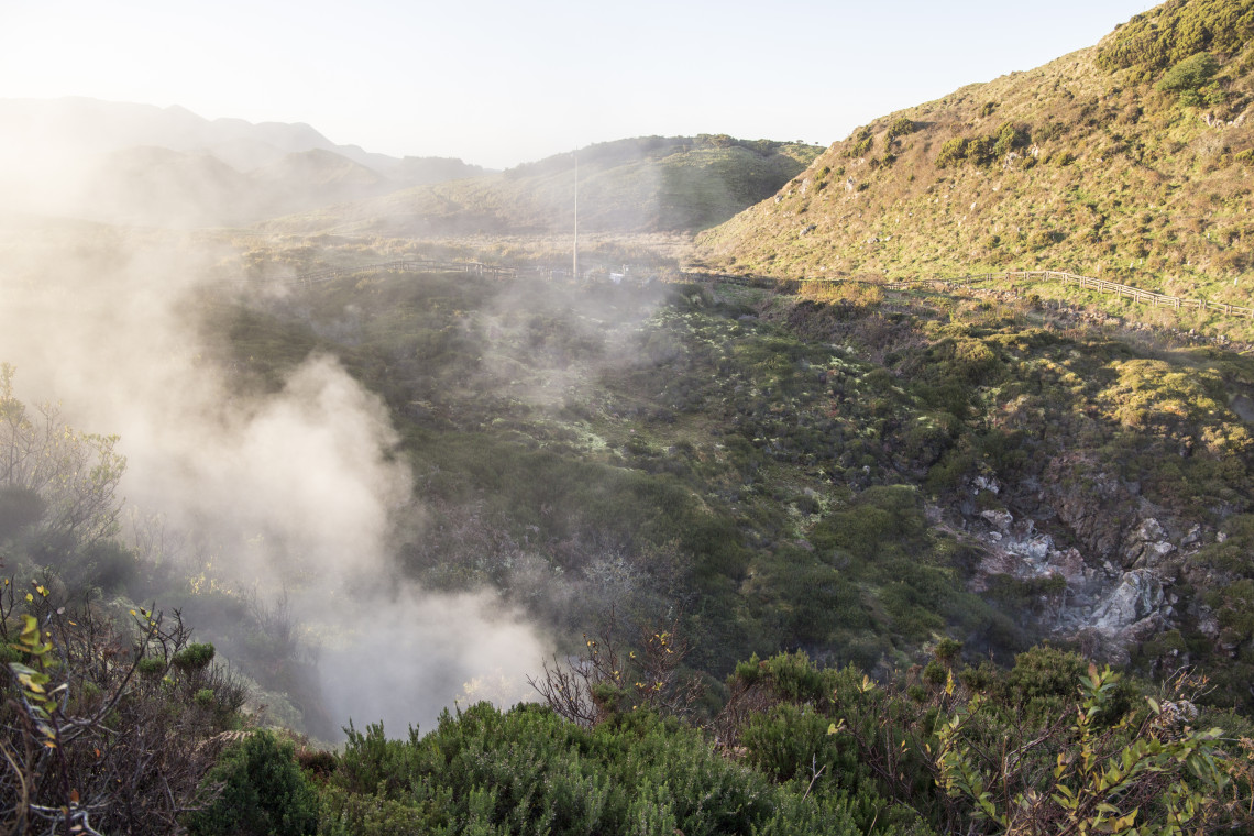 Steam rising from geothermal vents at Furnas do Enxofre on Terceira Island, surrounded by low vegetation, ferns and exposed volcanic ground.