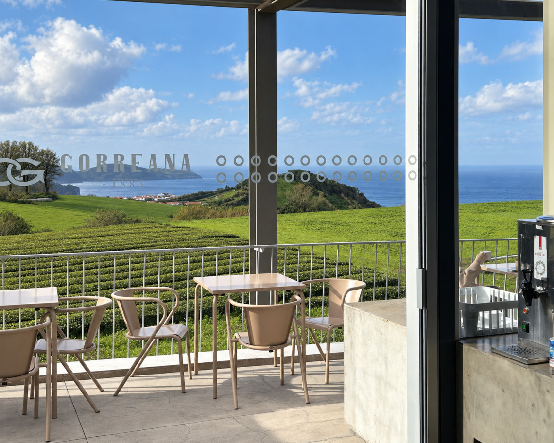 View from the Gorreana Tea Plantation caf&eacute; across green tea fields toward the Atlantic Ocean on S&atilde;o Miguel Island.