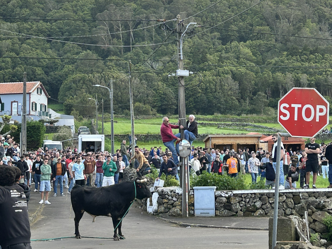 Traditional tourada &agrave; corda on Terceira Island in the Azores, with spectators gathered along a village street as a bull moves through the route. The event is a distinctive part of Terceira&rsquo;s local culture.