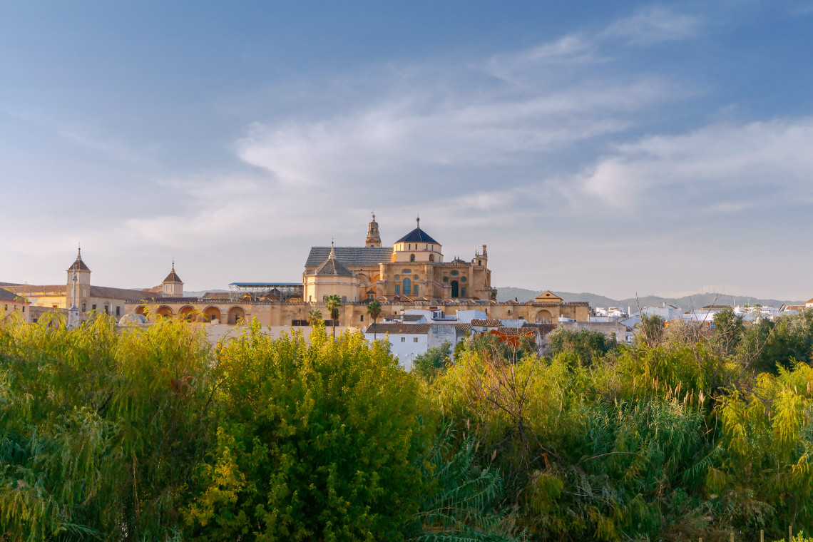 The Mosque-Cathedral of C&oacute;rdoba rises above white buildings and dense vegetation in C&oacute;rdoba, Spain. Its cathedral dome, bell tower and historic stone complex dominate the city skyline.