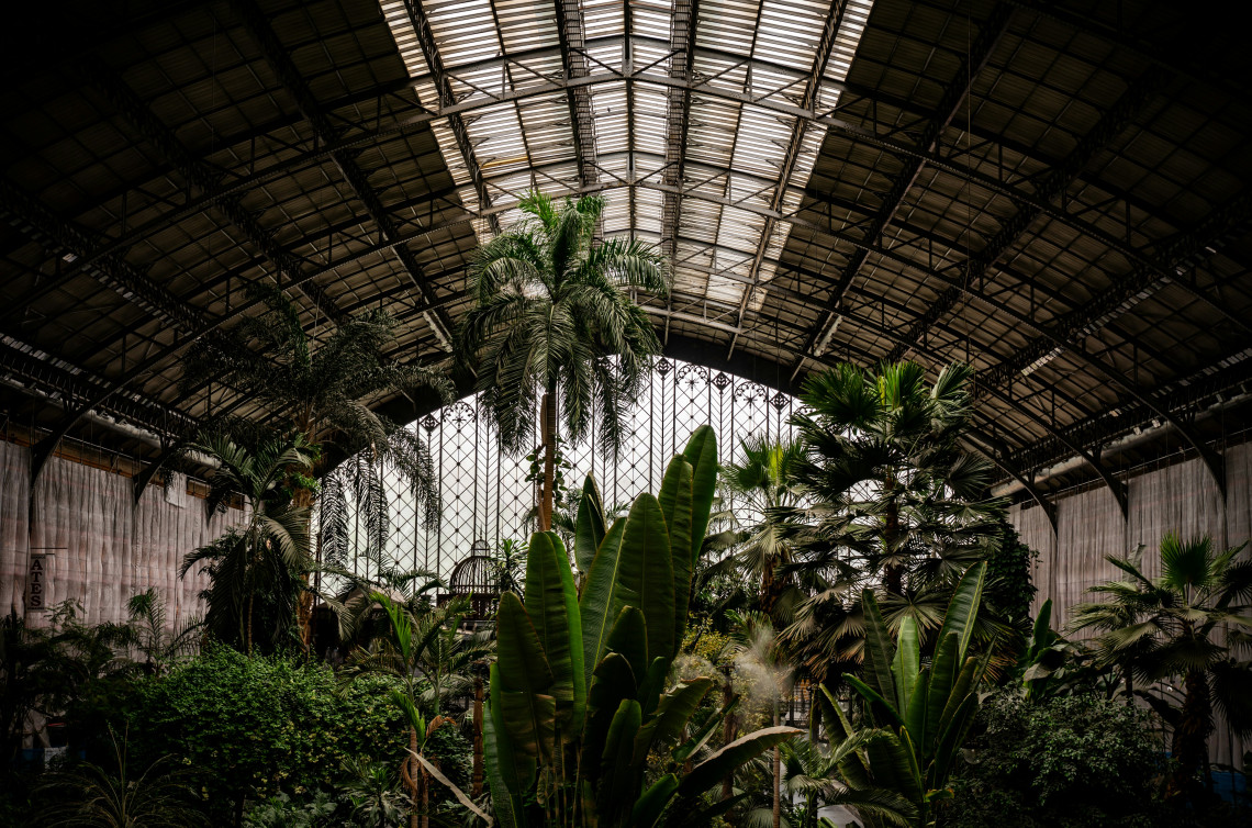 The tropical garden inside Madrid Atocha railway station in Madrid, Spain, contains mature palm trees and dense foliage beneath a large iron-and-glass roof. The indoor garden occupies the station&rsquo;s historic concourse.