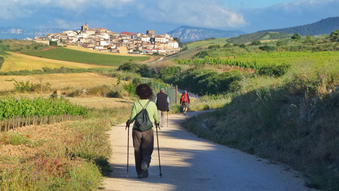 Pilgrims with walking poles on the Camino de Santiago, hilltop town and vineyards in the background