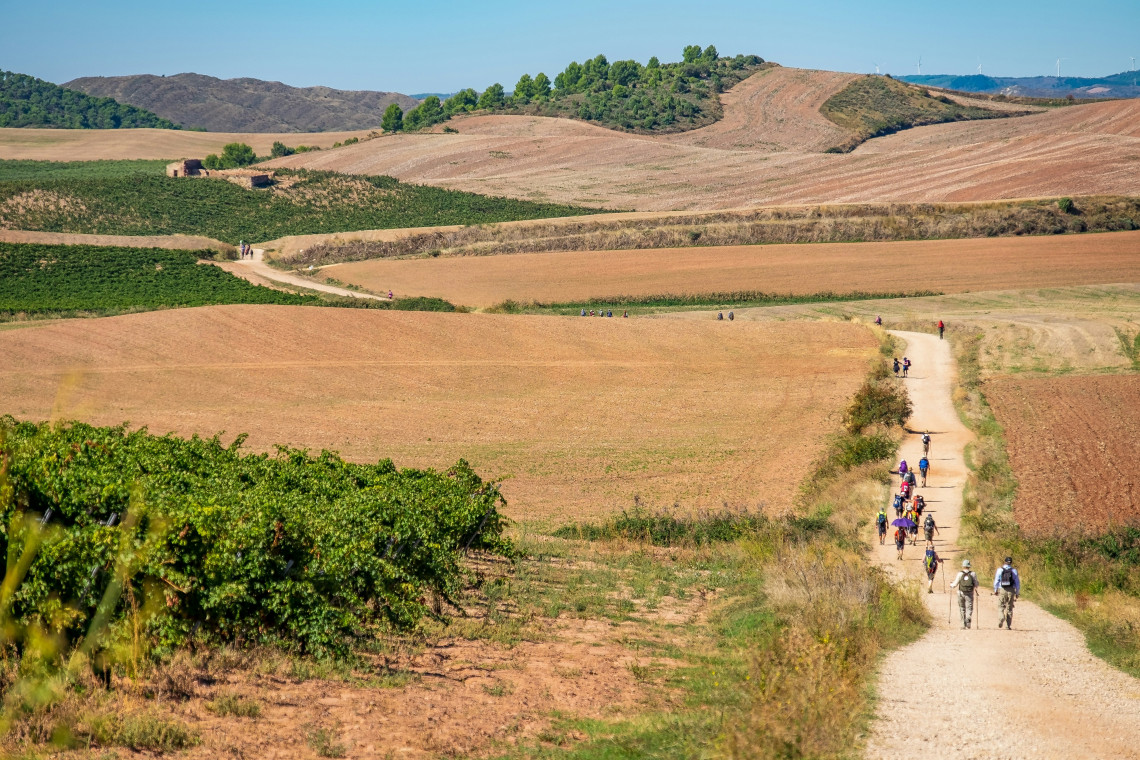 Camino de Santiago pilgrims walk along a winding gravel trail through vineyards, harvested fields and rolling countryside in La Rioja, Spain. The elevated view shows the route continuing across the agricultural landscape.