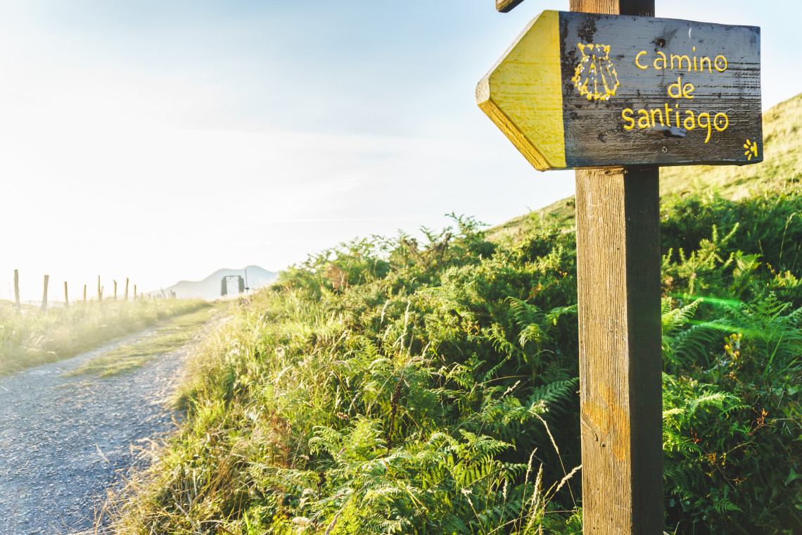 A wooden Camino de Santiago sign marked with a yellow arrow and scallop shell points along a gravel path in northern Spain. Ferns and sunlit grass surround the rural pilgrimage route.