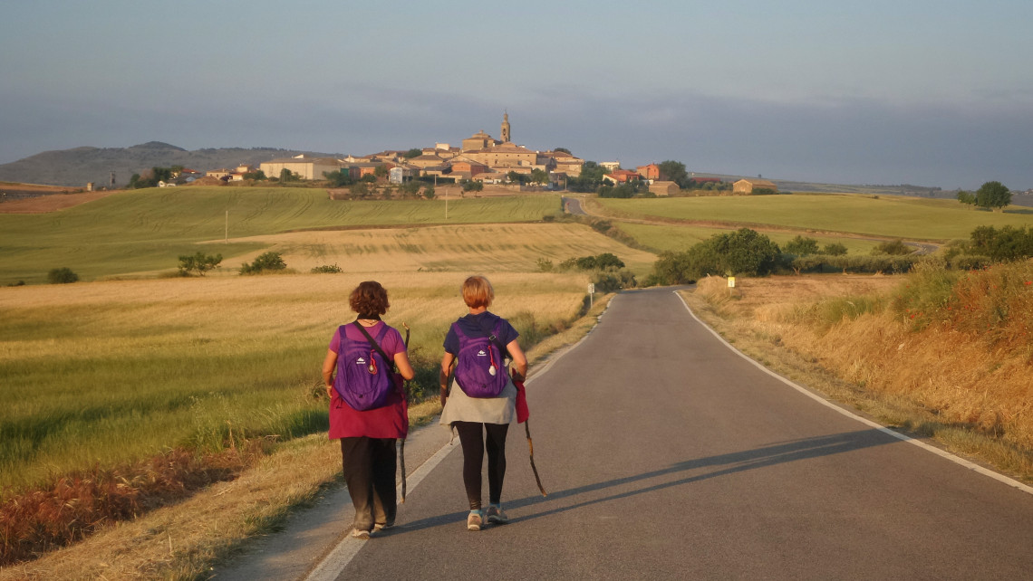 Two pilgrims carrying purple backpacks walk along a quiet country road toward the village of Sansol in Navarre, Spain. Golden fields and rolling farmland surround this section of the Camino Franc&eacute;s.