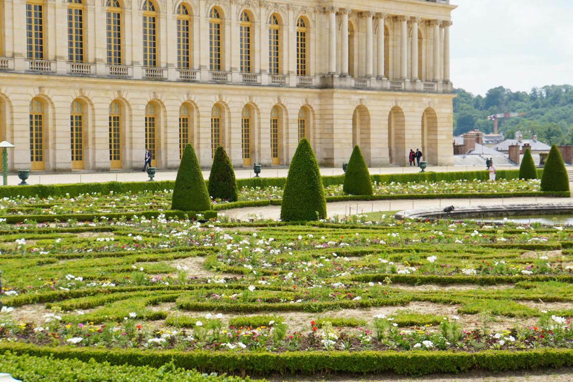Formal parterre garden with cone shaped topiary and flowering beds in front of the Palace of Versailles near Paris France