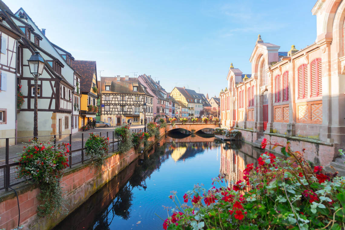 The Lauch canal in Colmar's Little Venice quarter on a clear autumn morning, with red geraniums on the canal wall in the foreground, colourful half-timbered buildings lining the left bank, a stone bridge in the middle distance, and the pink facade of the Marché Couvert on the right
