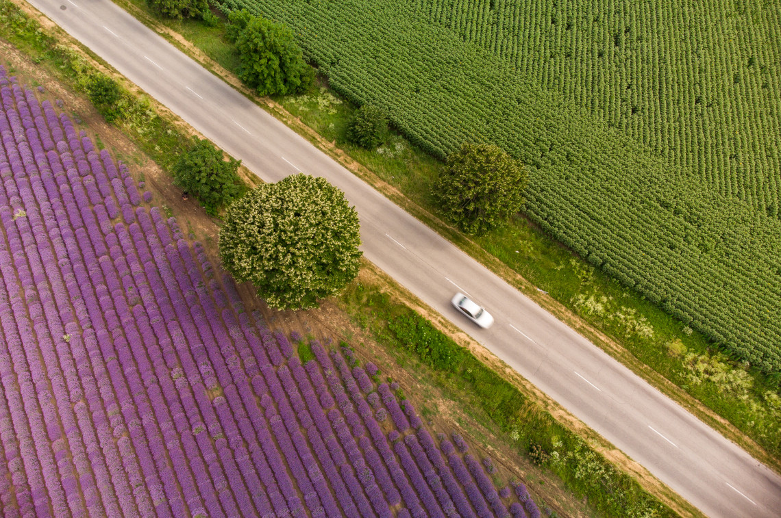 Aerial view of a car driving along a road between purple lavender fields and green crops in Provence, France