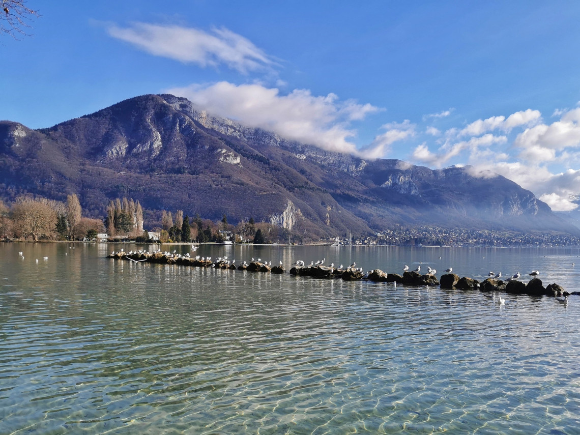 Ground-level winter view of Lac d'Annecy showing crystal-clear shallow water over a pebble bed, a row of gulls perched on submerged rocks stretching into the lake, bare winter trees on the shoreline, and cloud-wrapped limestone Alpine ridges in the background