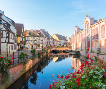 The Lauch canal in Colmar's Little Venice quarter, reflecting half-timbered Alsatian buildings and red geraniums, with the pink-and-white facade of the Marché Couvert visible behind a stone bridge
