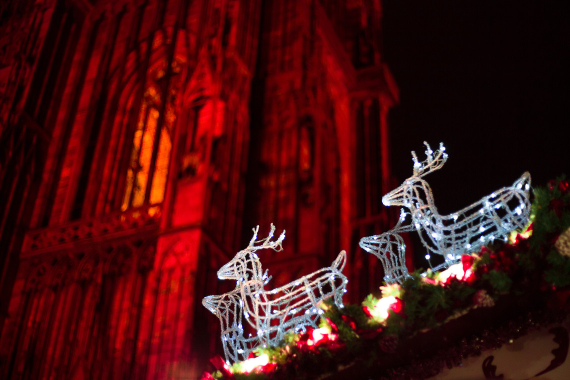 Illuminated reindeer decorations in front of Strasbourg Cathedral during the Strasbourg Christmas Market in Strasbourg, France. The Gothic cathedral glows against the night sky as festive lights decorate the historic square.