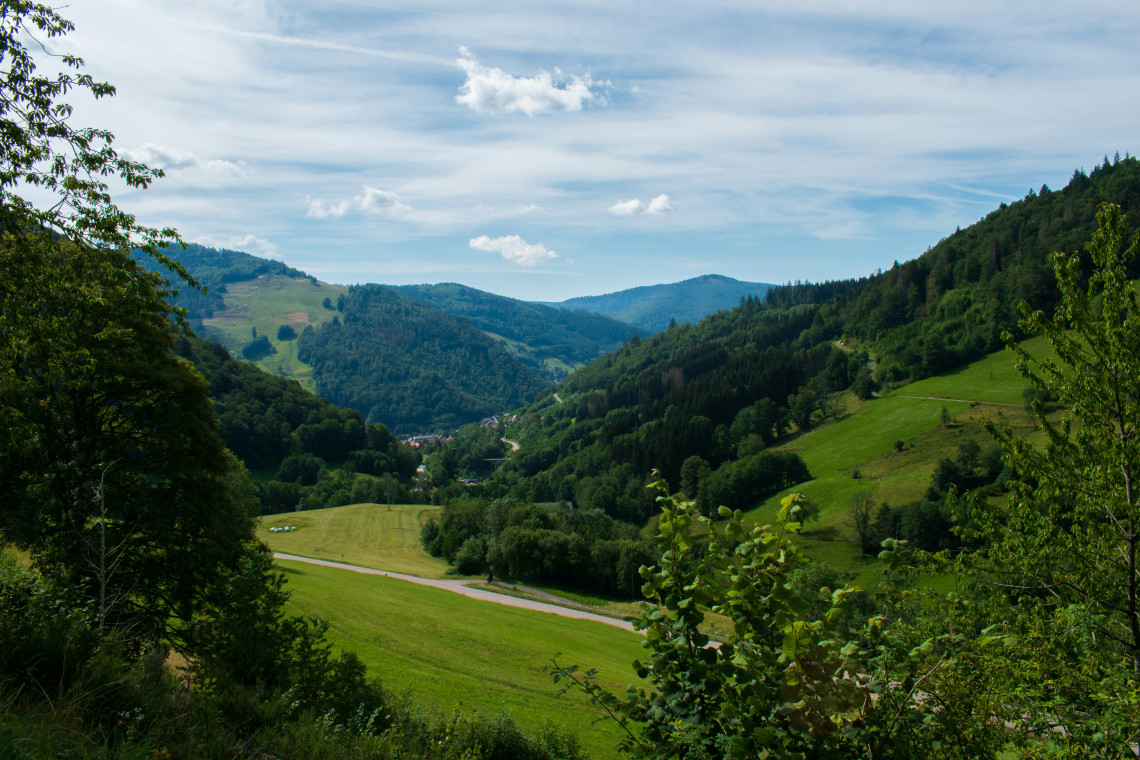 A green valley in Germany&rsquo;s Black Forest region is surrounded by wooded hills, meadows and scattered rural homes. A narrow road runs through the countryside beneath a partly cloudy sky.