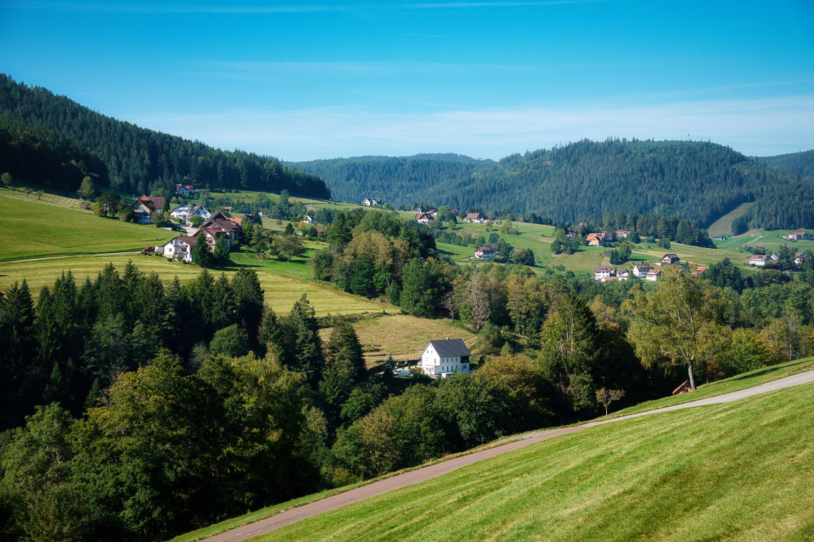 Green fields, farmhouses and small villages extend across a rolling valley in the Black Forest region of Baden-W&uuml;rttemberg, Germany. Dense evergreen woodland covers the surrounding hills.