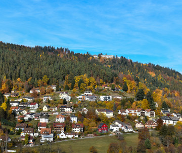 Houses spread across a forested hillside in Germany’s Black Forest region, surrounded by trees displaying autumn colours beneath a clear blue sky.