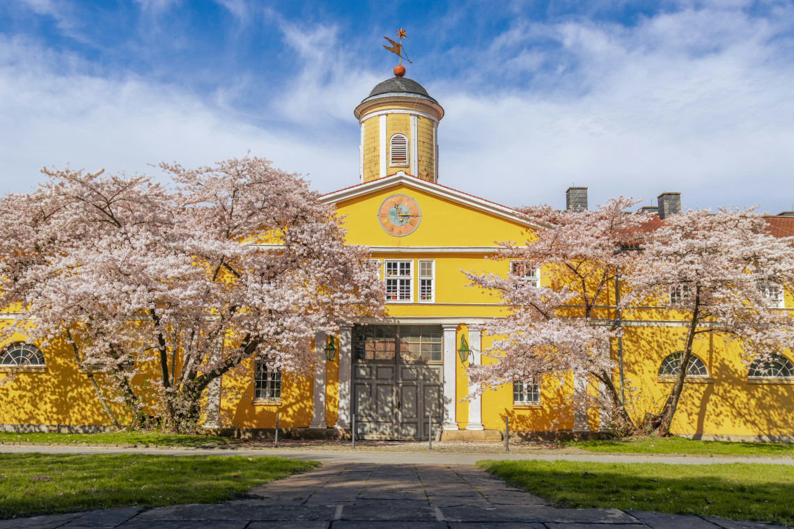 Yellow historic pavilion with a central cupola framed by flowering trees in Kassel, Germany.