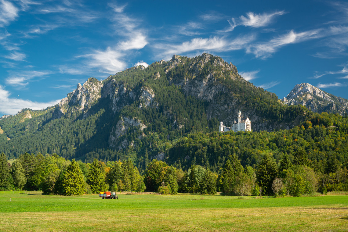 Neuschwanstein Castle appears among forested foothills near Schwangau, Germany, beneath the rocky peaks of the Bavarian Alps. A broad green meadow fills the foreground.