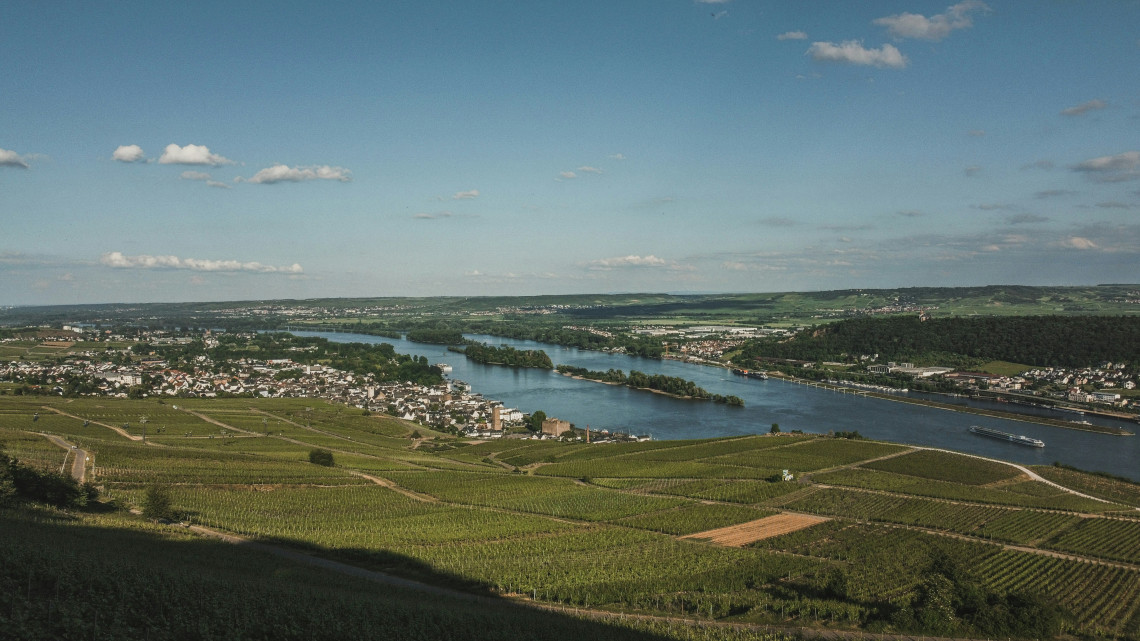 : Hillside vineyards overlook the Rhine River near R&uuml;desheim am Rhein, Germany. Towns, wooded hills and boats extend across the broad river landscape.