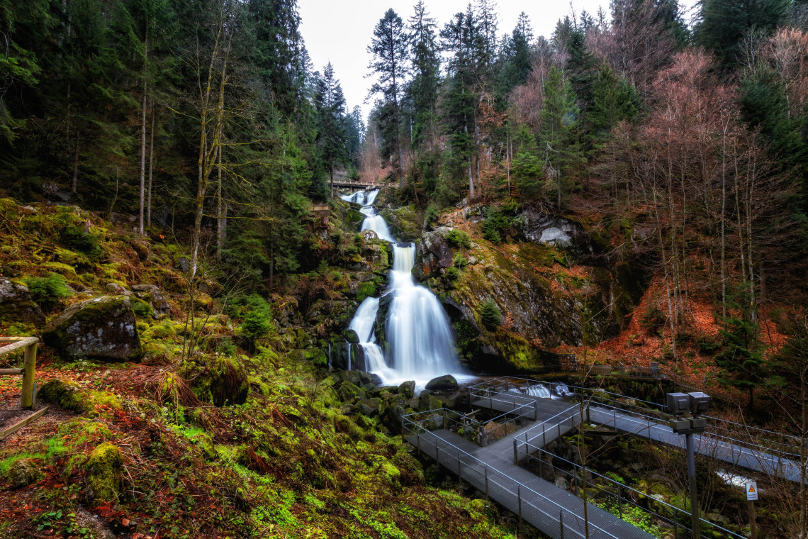 Water cascades over moss-covered rocks at Triberg Waterfalls in Triberg im Schwarzwald, Germany. Evergreen trees, autumn foliage and a viewing platform surround the waterfall.