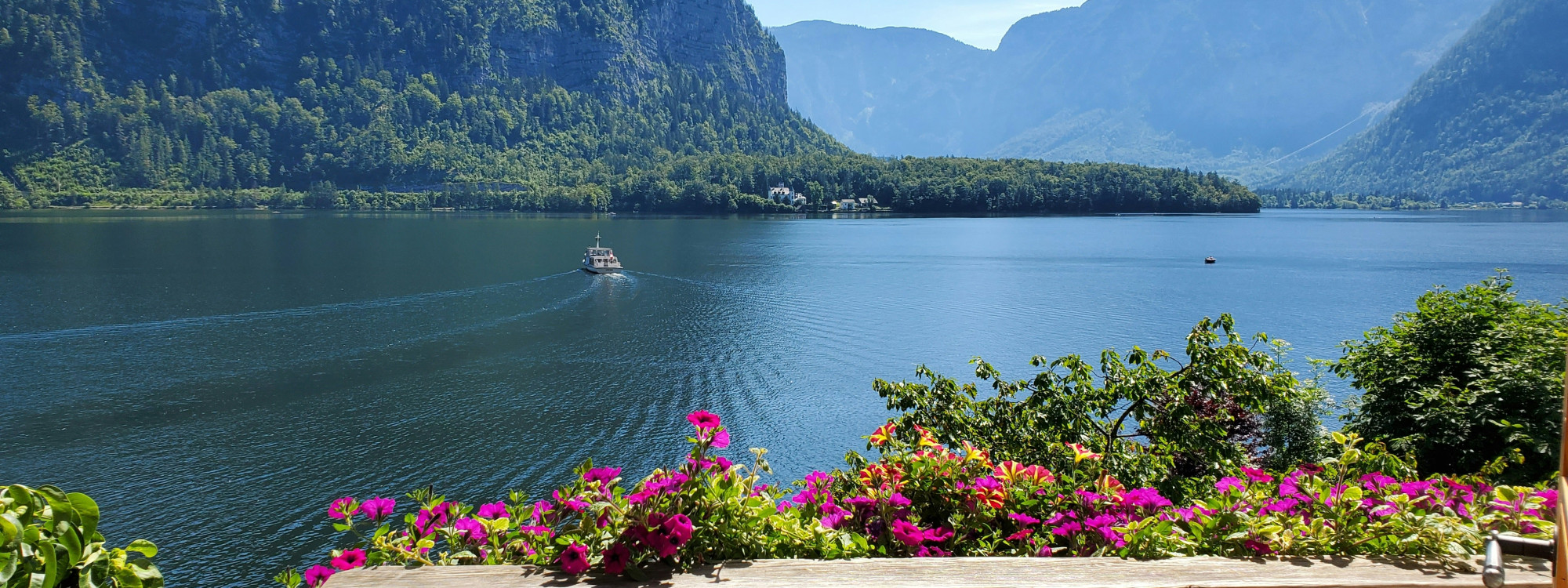A passenger boat crosses Lake Hallstatt near Hallstatt, Austria, surrounded by forested slopes and steep Alpine mountains. Colourful flowers frame the lakeside view in the foreground.