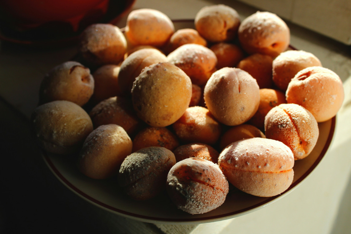 A plate of traditional Marillenkn&ouml;del from Austria&rsquo;s Wachau Valley, with whole apricots wrapped in dough and dusted with sugar. The round dumplings are arranged in warm sunlight.
