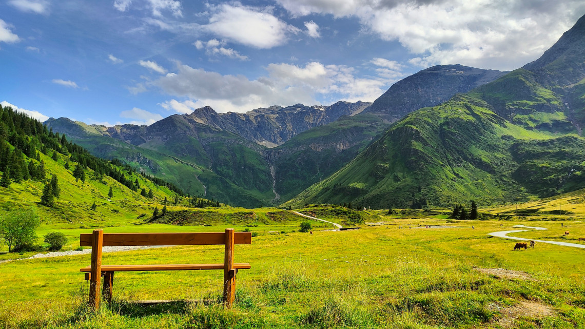A wooden bench overlooks a broad Alpine meadow in the Gastein Valley near Bad Gastein, Salzburg, Austria. Green mountain slopes, grazing land and a winding stream extend beneath a partly cloudy sky.