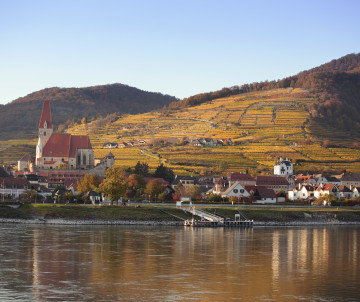 Spitz an der Donau stands beside the Danube River in Austria’s Wachau Valley, with its church and red-roofed houses below terraced vineyards. The hillside vines and village are reflected in the calm river.