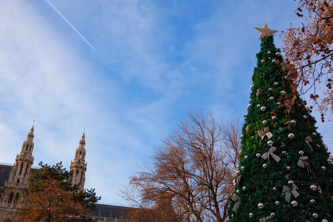 A tall decorated Christmas tree stands at Rathausplatz in Vienna, Austria, with the towers of Vienna City Hall visible behind autumn trees under a blue sky.