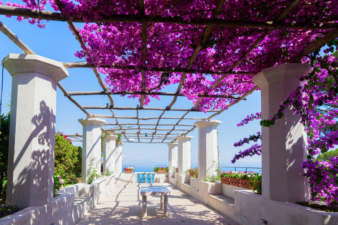 A bougainvillea-covered pergola frames a terrace in the gardens of Villa Rufolo in Ravello, Italy. White columns and flowering plants lead toward an open view over the Mediterranean Sea and Amalfi Coast.