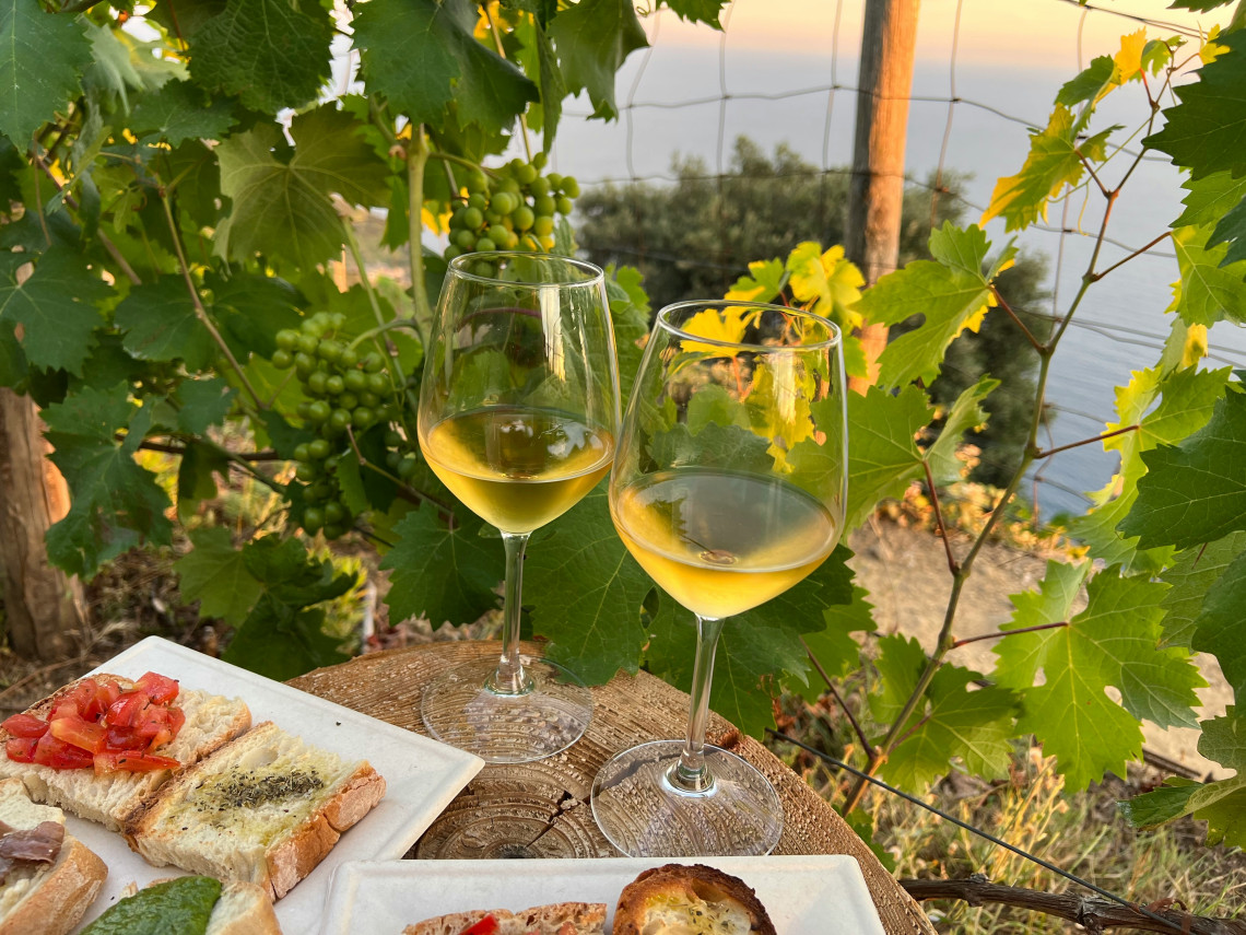 Two glasses of white wine and small Italian appetizers are served among grapevines overlooking the Ligurian Sea near Manarola in Cinque Terre, Italy. The setting reflects the terraced wine-growing landscape of the Cinque Terre coast.