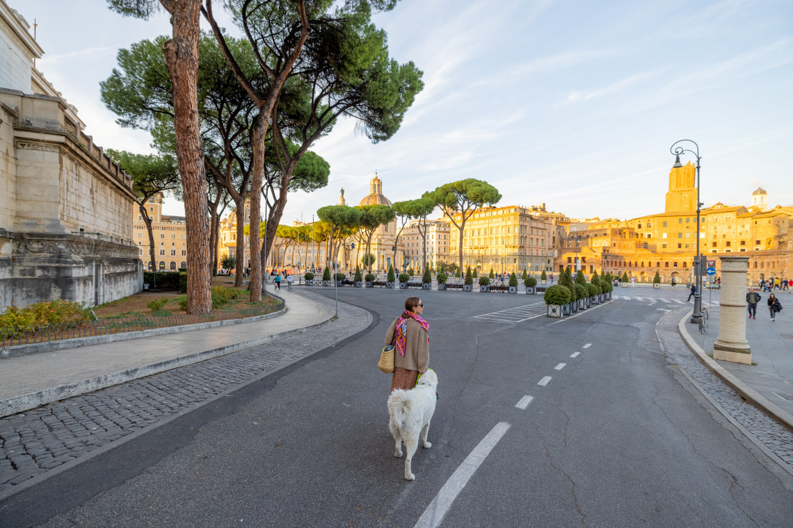 Via dei Fori Imperiali crosses the historic centre of Rome, Italy, between monumental archaeological sites and stone buildings. Umbrella pines and historic architecture line the avenue near the Roman and Imperial Forums.