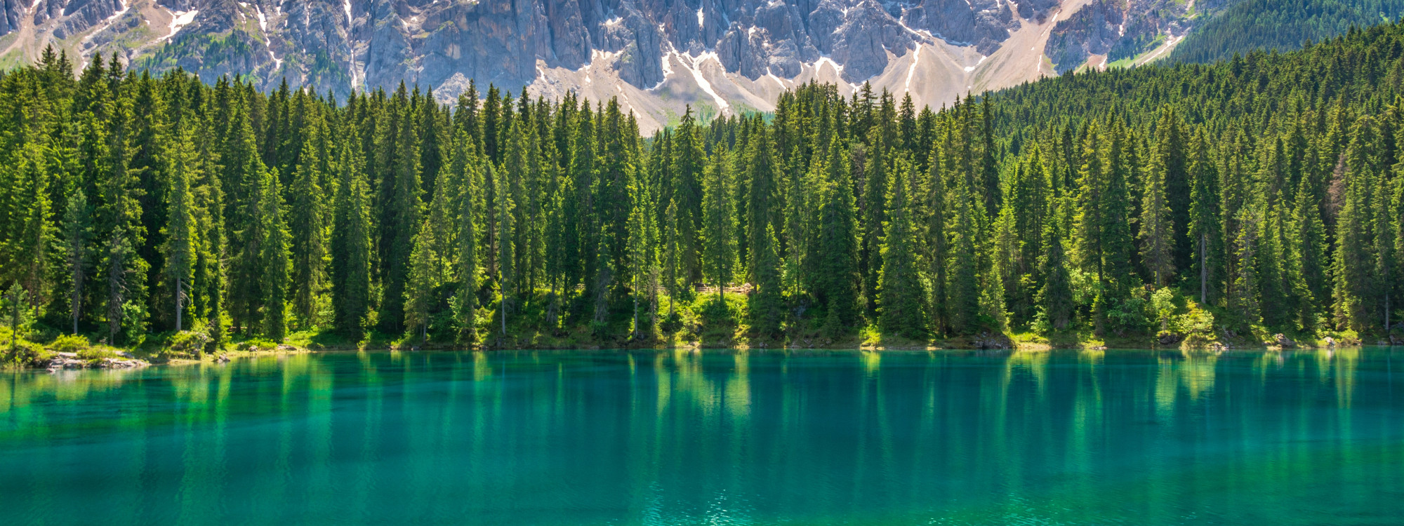 Panoramic view of Lago di Carezza with vivid turquoise water reflecting dense pine forest and Dolomite peaks, South Tyrol, Italy