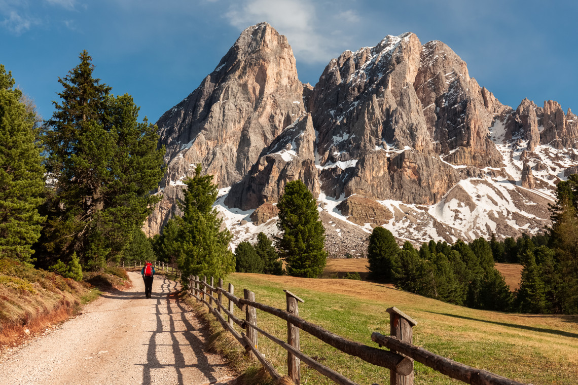 Solo hiker with red backpack walking along a gravel trail with wooden fence below the dramatic snow dusted Sassolungo rocky peaks, Val Gardena, South Tyrol, Dolomites, Italy
