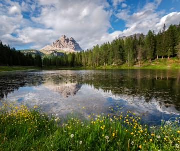 Scenic alpine lake surrounded by wildflower meadows and pine forests with Dolomite rocky peaks reflected in the calm water, Lago d'Antorno, South Tyrol, Italy
