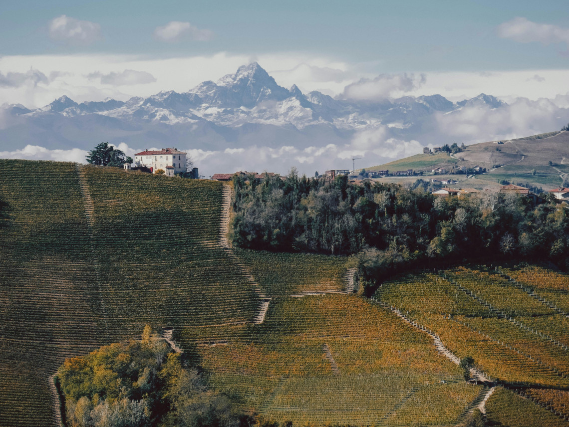 Vineyards spread across the rolling Langhe hills in Piedmont, northern Italy, with rural farmhouses and the distinctive peak of Monviso rising in the distance. The Langhe wine landscape is part of Piedmont&rsquo;s celebrated vineyard region.