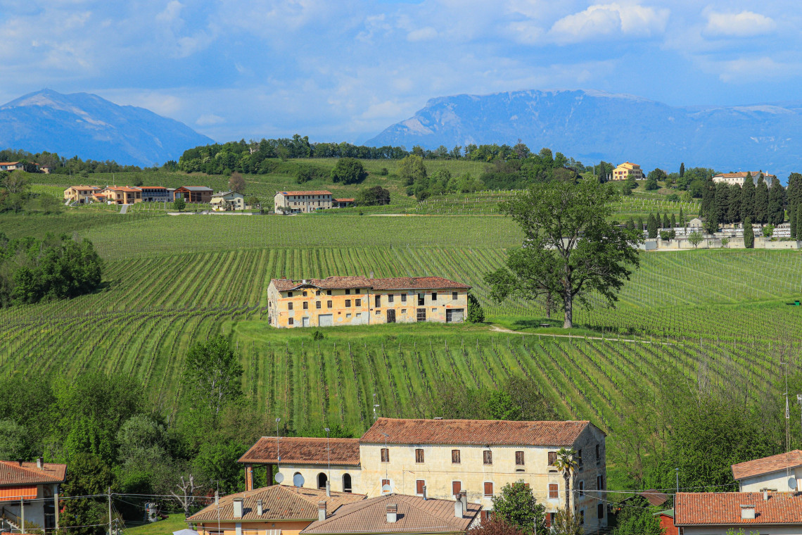 Extensive vineyard rows surround traditional rural buildings in northern Italy, with a broad mountain range rising behind the cultivated hills.