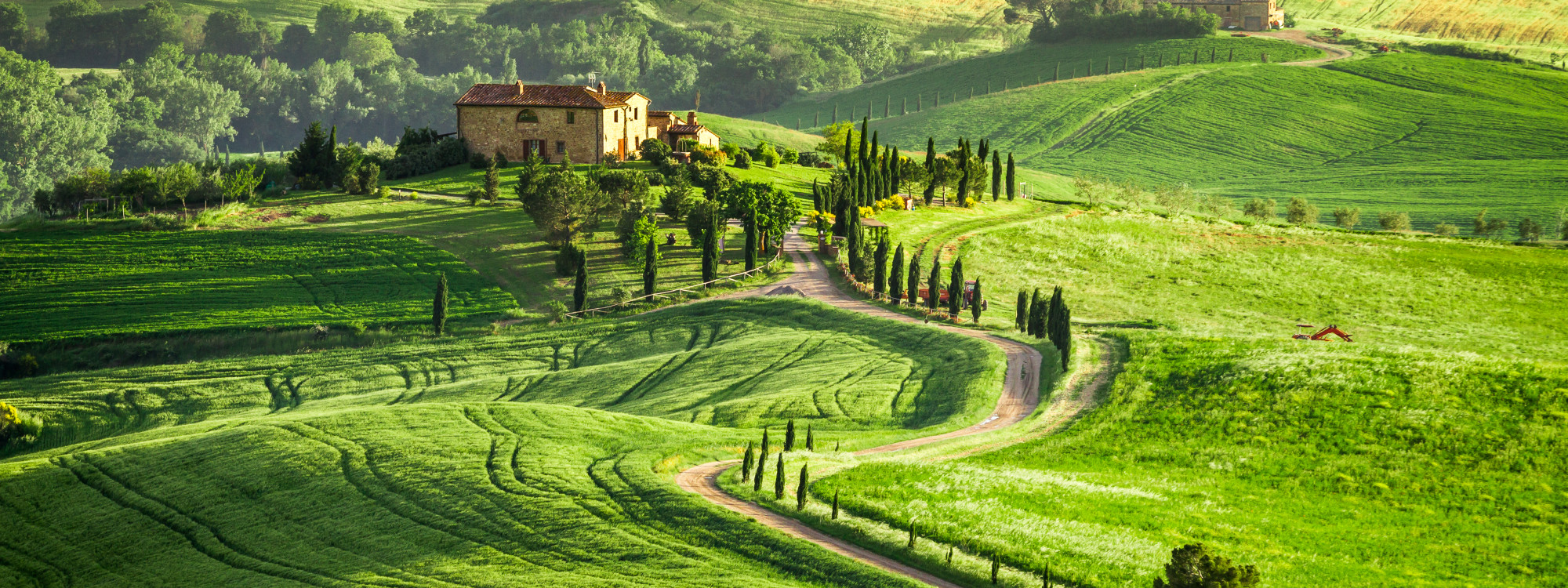 A winding country road lined with tall cypress trees crosses green fields in the Val d’Orcia area of Tuscany, Italy. A traditional farmhouse stands among the cultivated hills of the Siena countryside.