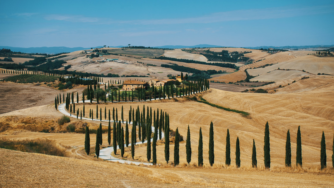 A winding road bordered by tall cypress trees leads toward Podere Baccoleno near Asciano in Tuscany, Italy. Golden fields and rolling hills form the characteristic landscape of the Crete Senesi.