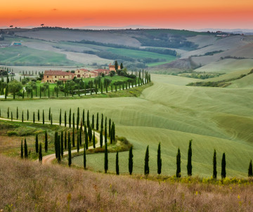 Rolling agricultural hills and rows of cypress trees cross the Val d’Orcia countryside in Tuscany, Italy. A farmhouse sits among cultivated fields beneath warm evening light. Val d’Orcia is known for this combination of rolling hills, rural estates and cy