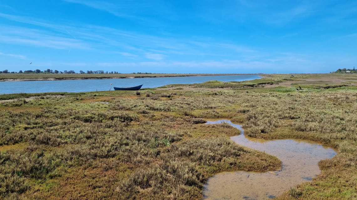 A small traditional boat rests beside tidal channels and salt-marsh vegetation in the Ria Formosa Natural Park in the Algarve.
