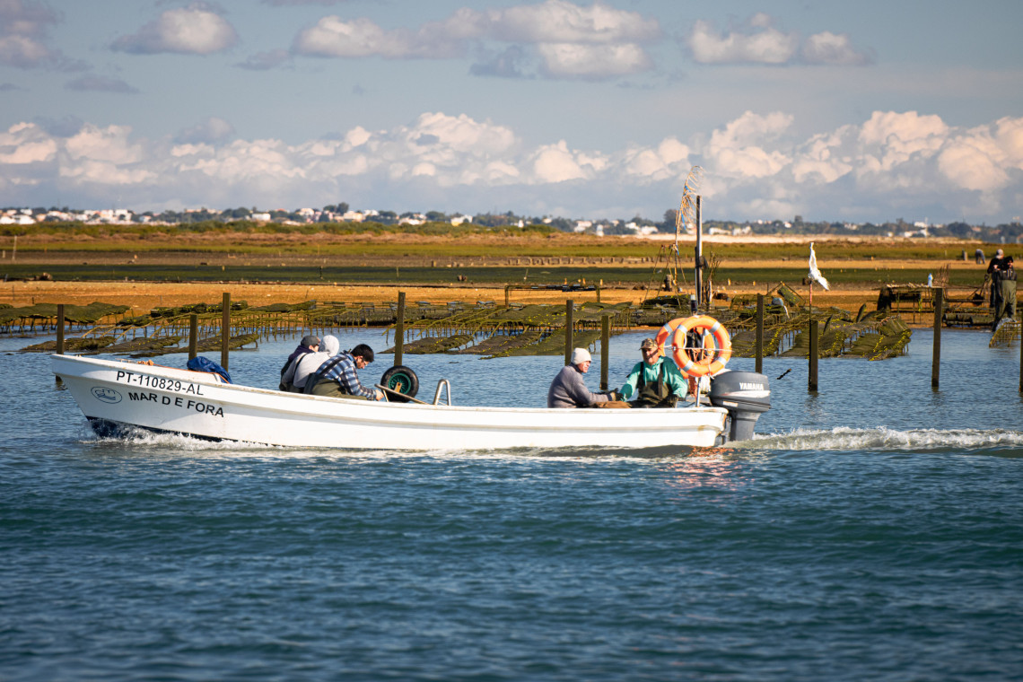 A small working boat passes rows of shellfish and oyster farming structures in the shallow waters of the Ria Formosa near Olh&atilde;o.