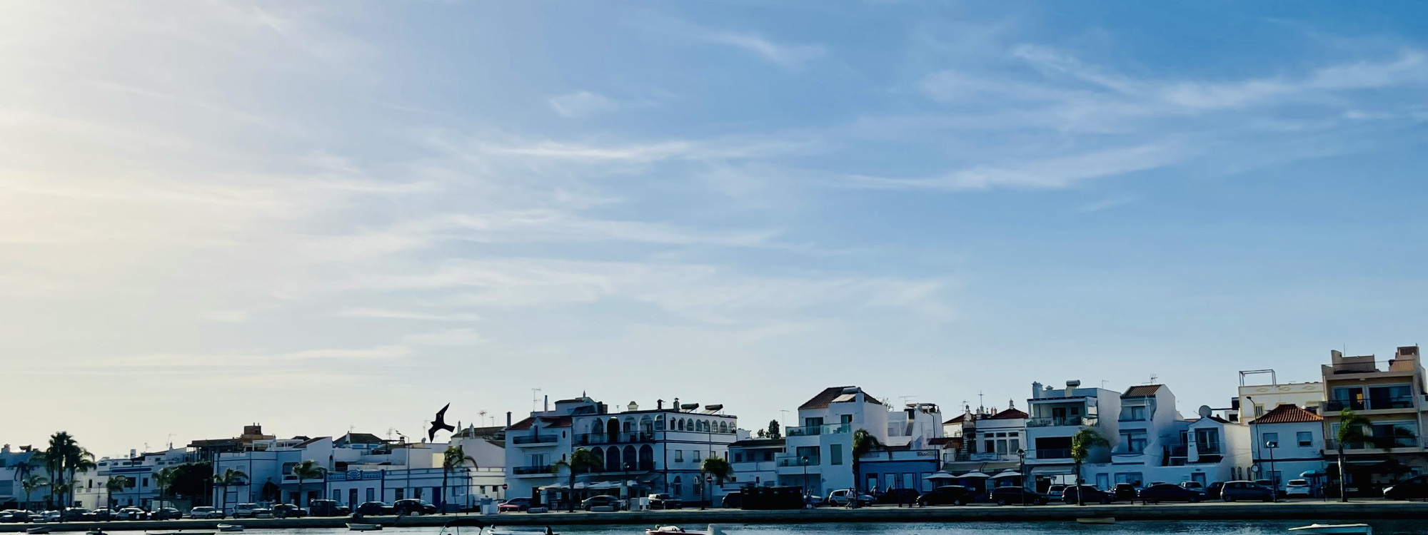 View of the waterfront and historic town center of Lagos in the Algarve, Portugal, featuring whitewashed buildings, restaurants, and marina-side promenades. The image showcases the coastal charm of Lagos, one of the Algarve's most popular destinations for