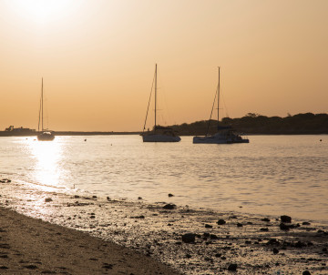 Sailboats rest on the calm waters of the Ria Formosa near Tavira at sunset, with warm light reflecting across the lagoon and shoreline.