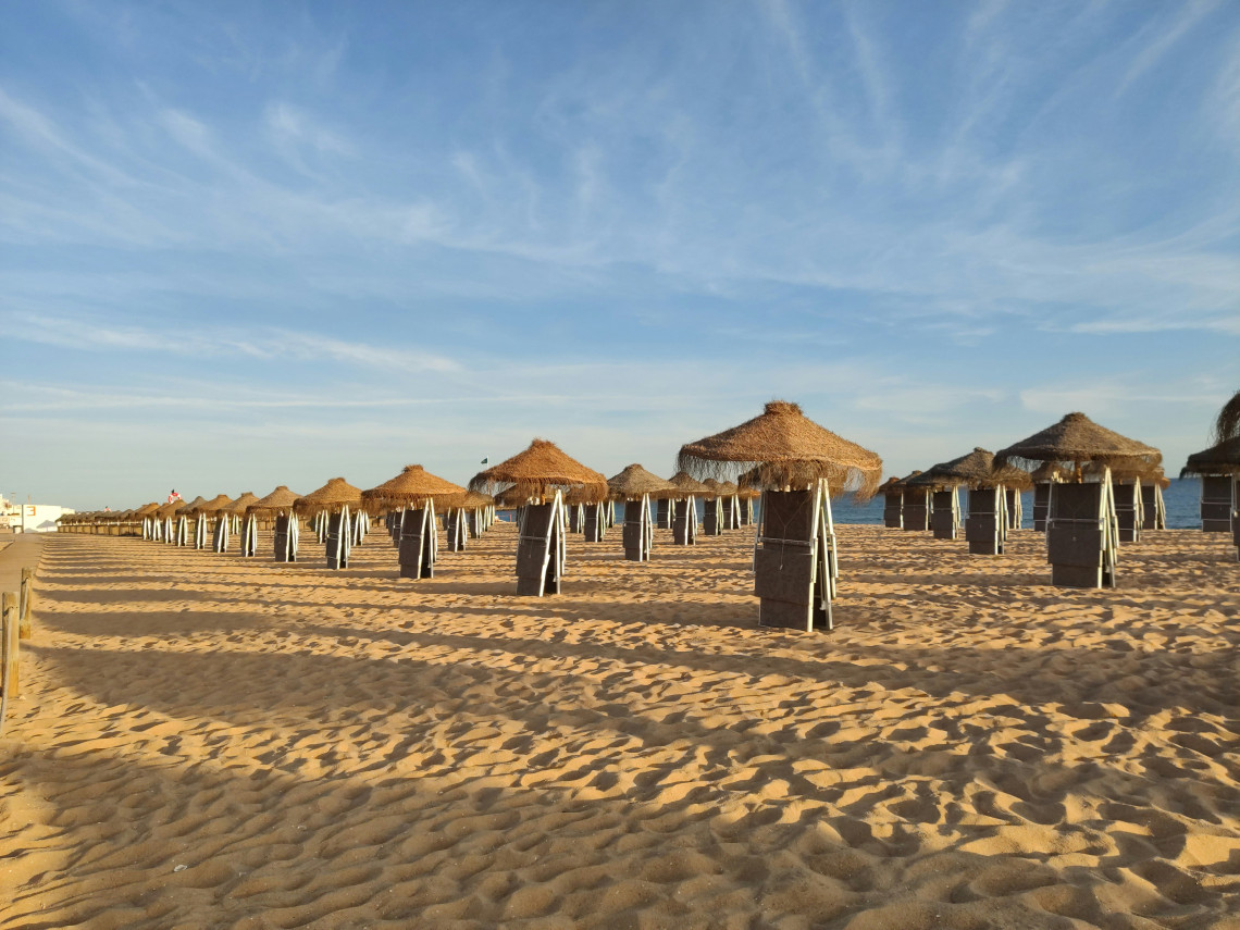 Rows of traditional thatched sunshades line the golden sand of Praia de Vilamoura, with the Atlantic Ocean visible beyond under a clear Algarve sky.